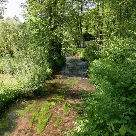 Quiet Location Terrace Ideal For Walks Cycling Lägenhet *