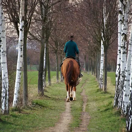 Appartamento In Ondenval